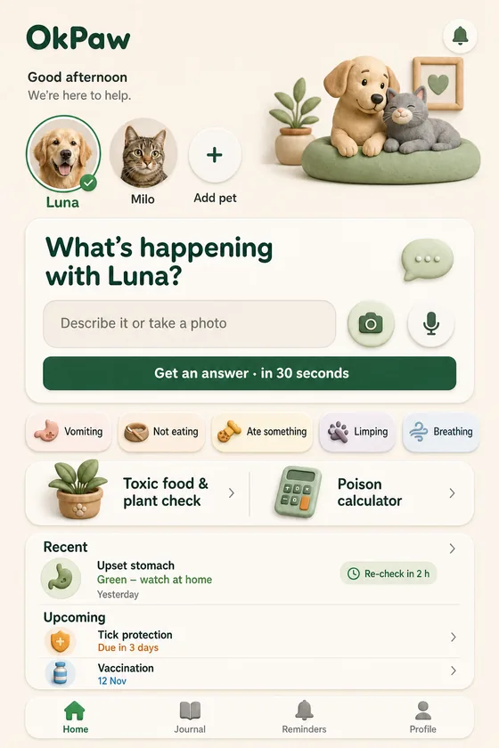 OkPaw home screen
